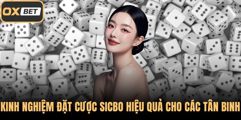 Kinh nghiệm đặt cược Sicbo hiệu quả cho các tân binh