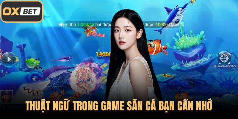 Thuật ngữ trong game săn cá bạn cần nhớ